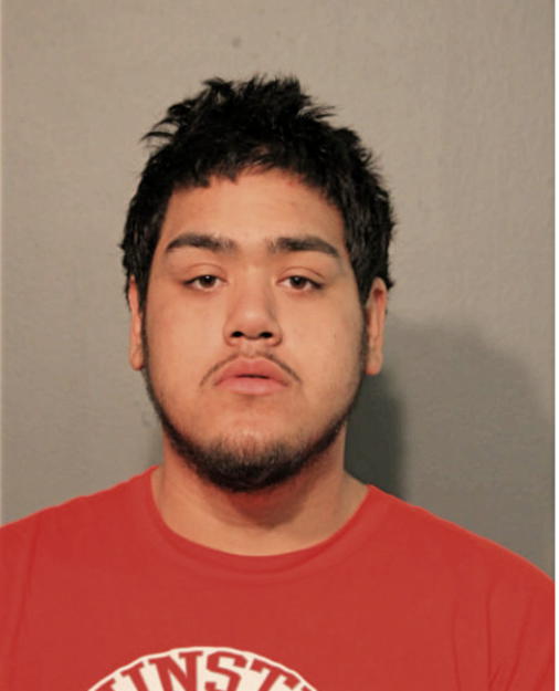JOSE L ACEVEDO, Cook County, Illinois
