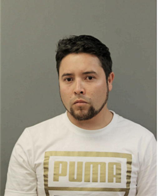 ERIK PAULINO ALANIS MORENO, Cook County, Illinois