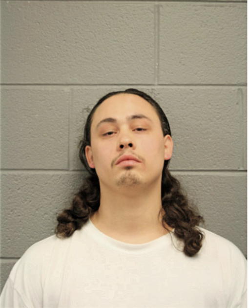 JAMES E ALVAREZ, Cook County, Illinois