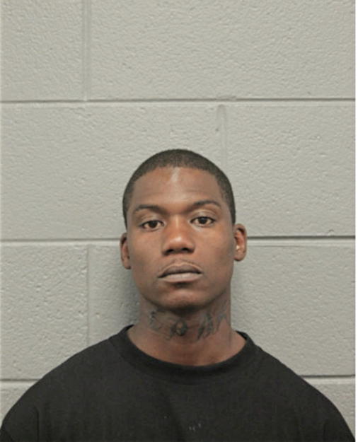 PAUL D ANDERSON, Cook County, Illinois