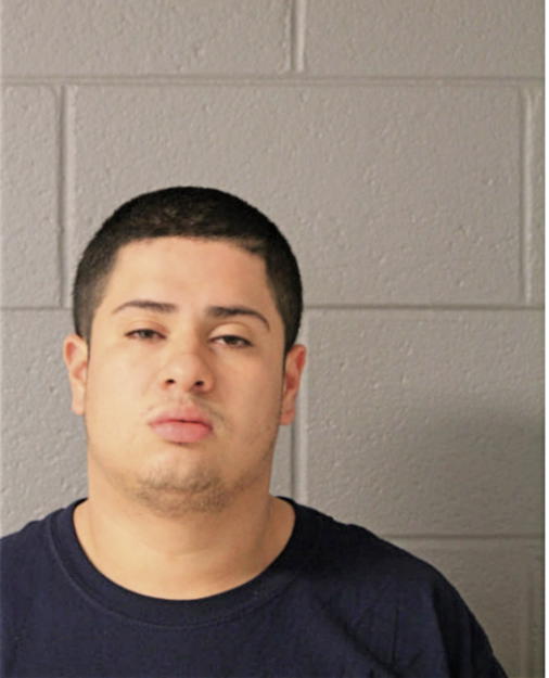 MIGUEL E ANDINO, Cook County, Illinois