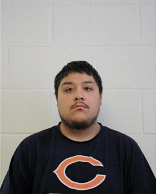 MARTIN BAHENA, Cook County, Illinois