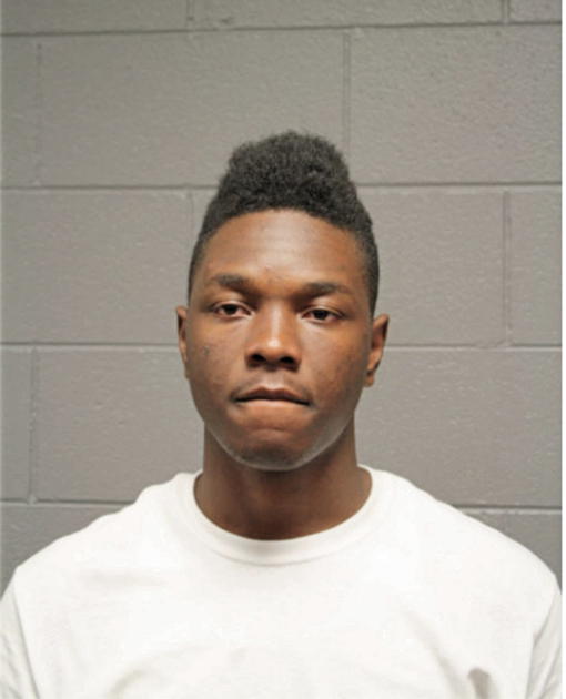 MATTHEW W BRIGHT, Cook County, Illinois