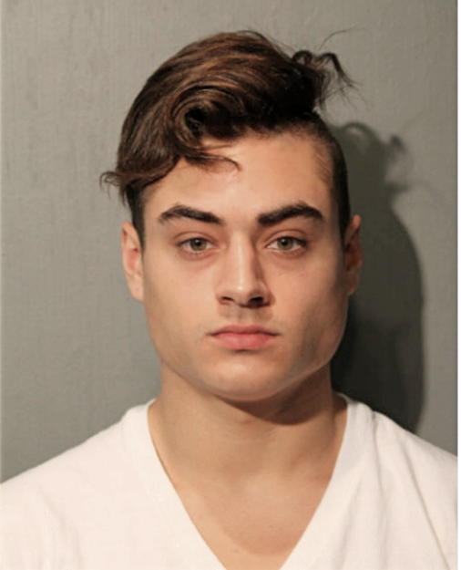 NICHOLAS A BRIONES, Cook County, Illinois