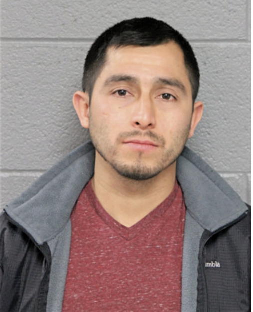 JUAN CARLOS CAICEROS, Cook County, Illinois