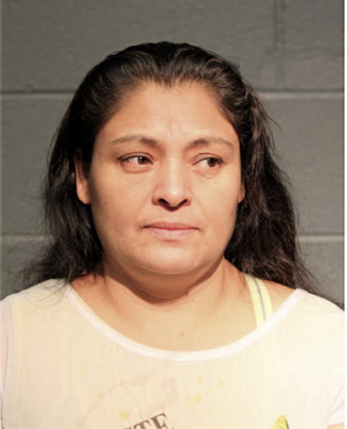 ANA MARIA CASTILLO, Cook County, Illinois