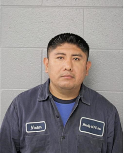NESTOR D DE LEON, Cook County, Illinois