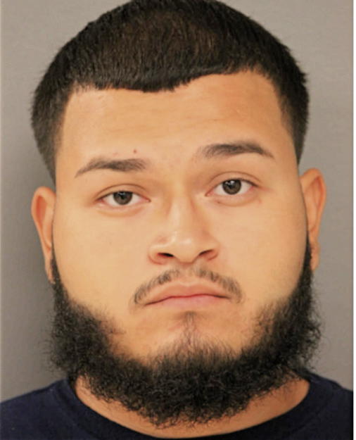 FRANCISCO J FLORES, Cook County, Illinois