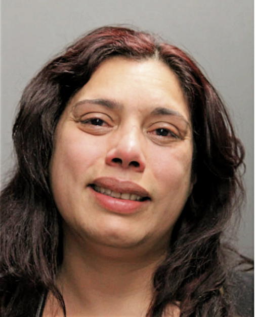 LISA M FLORES, Cook County, Illinois
