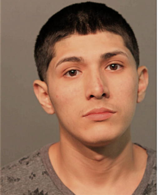 JOHNNY A GARCIA, Cook County, Illinois