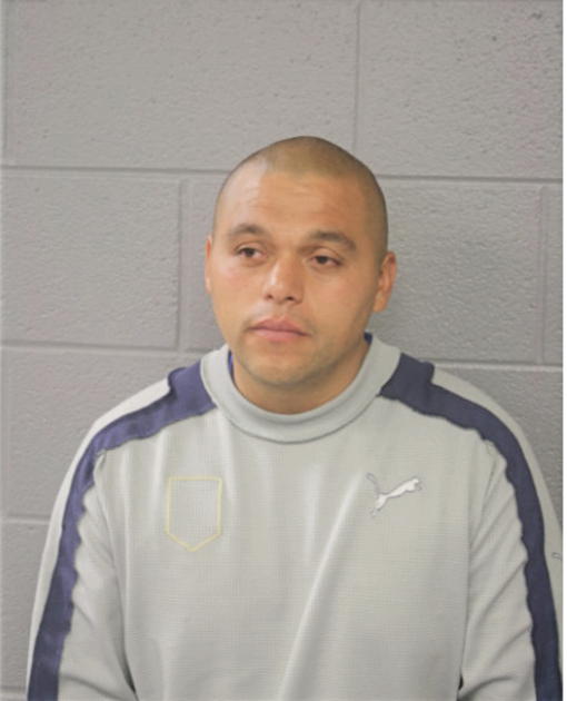 JULIO E GUZMAN, Cook County, Illinois