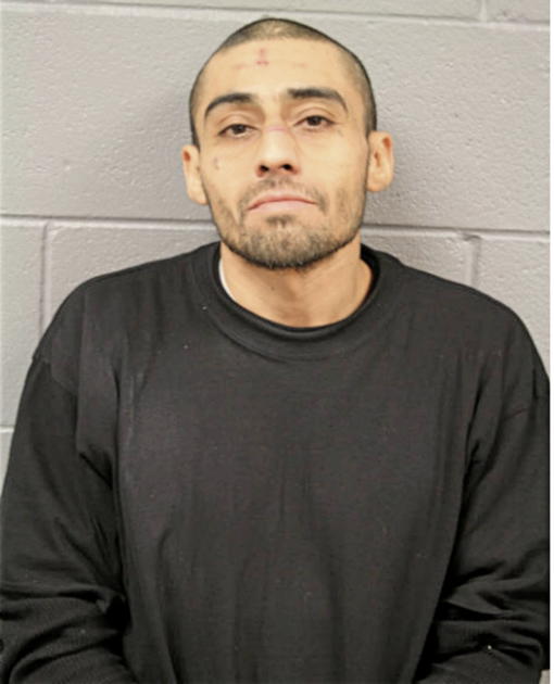 JESUS A HERNANDEZ, Cook County, Illinois