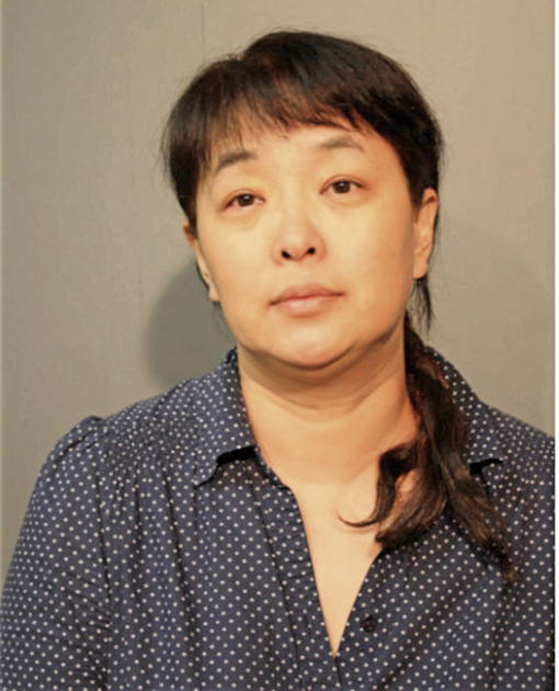 HUANYU HUA, Cook County, Illinois