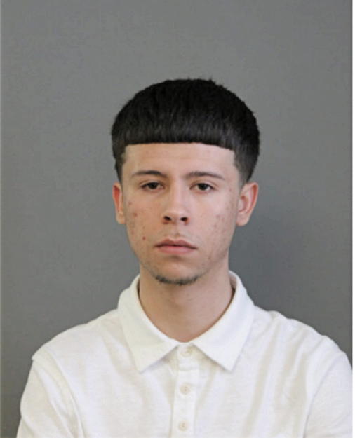 MARK A JIMINEZ, Cook County, Illinois