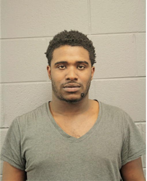 DARNELL L JOHNSON, Cook County, Illinois