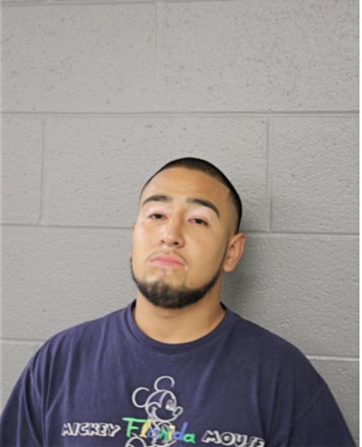 LAURENTINO SOTELO JR, Cook County, Illinois