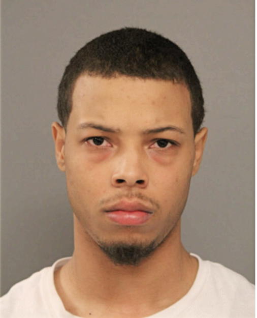 MICHAEL K WILLIAMS III, Cook County, Illinois