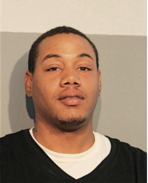 WILLIE E LEWIS, Cook County, Illinois