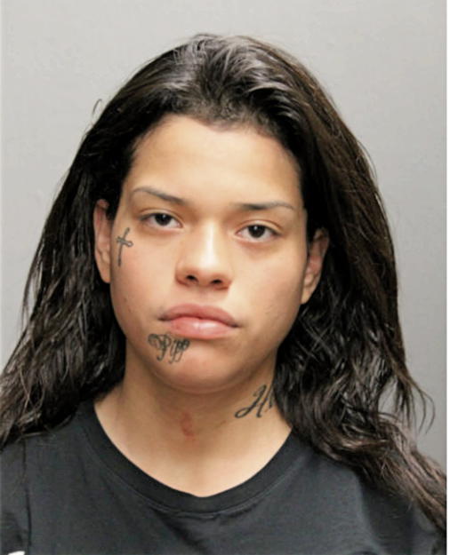KATYA F LICEA, Cook County, Illinois
