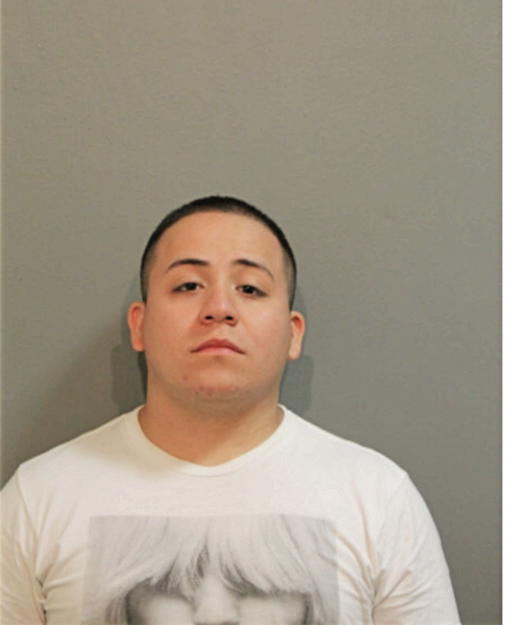 ADRIAN MORALES, Cook County, Illinois