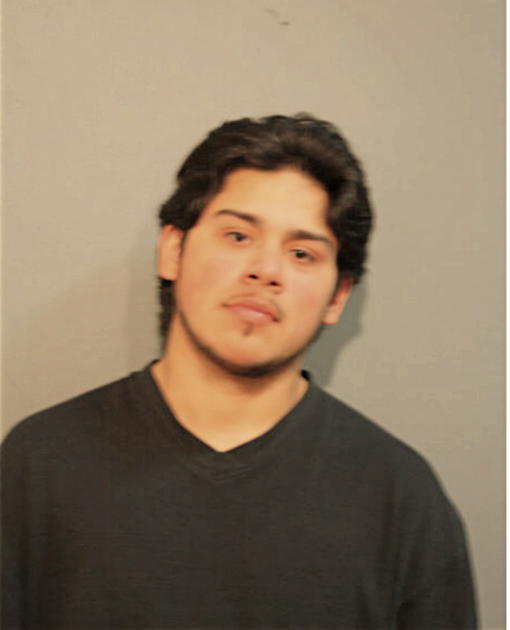 JOEL NUNEZ, Cook County, Illinois