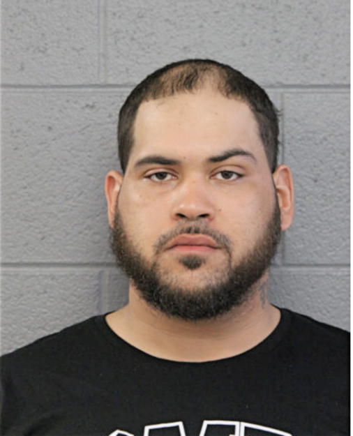 CHRISTOPHER R BARTSCH, Cook County, Illinois