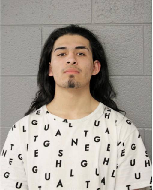 JUAN A RAMOS, Cook County, Illinois
