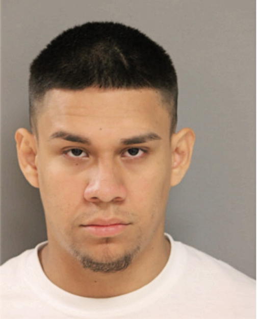 IVAN REYES, Cook County, Illinois