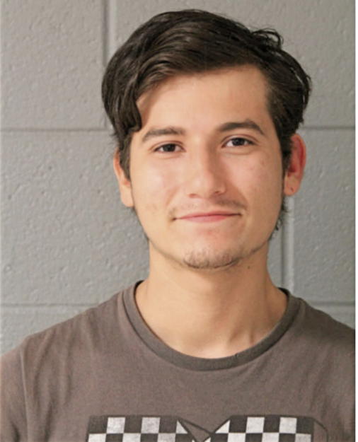 ULYSSES RODRIGUEZ, Cook County, Illinois