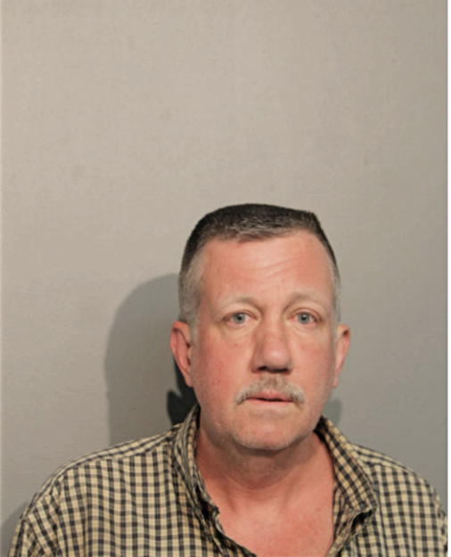 DIRK L SCHERIBEL, Cook County, Illinois