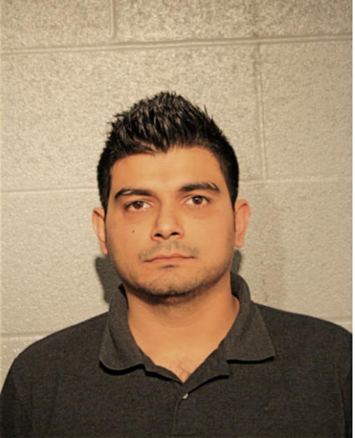 ALI A YAWAR, Cook County, Illinois
