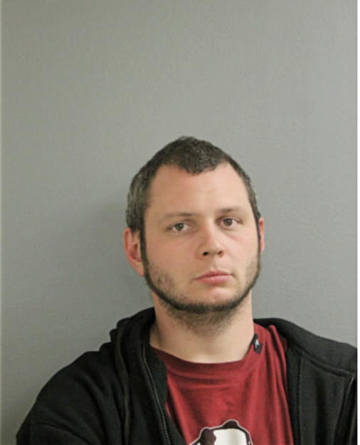 JOSHUA M ZIEMER, Cook County, Illinois