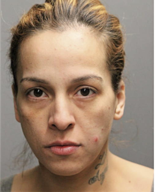 VENECIA ALANIS, Cook County, Illinois