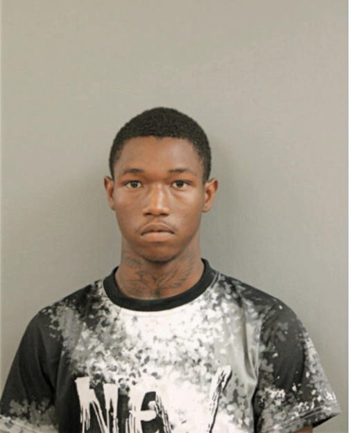ROBERT D BAUGHNS, Cook County, Illinois