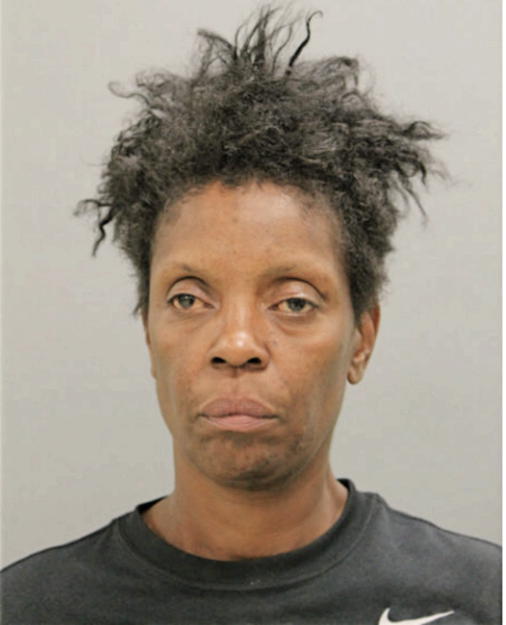 ROBIN R BELL, Cook County, Illinois