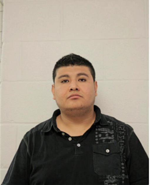 LUIS A CARRASCO, Cook County, Illinois