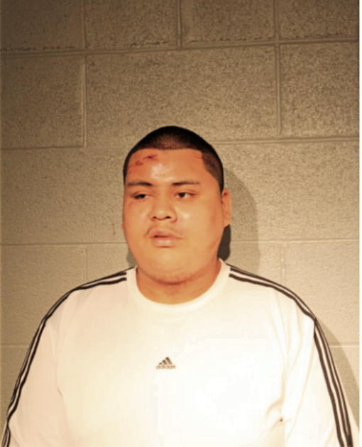 MARTIN CARRO, Cook County, Illinois