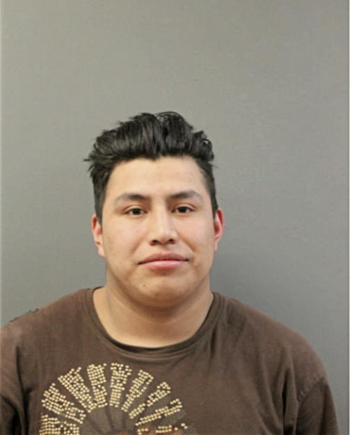 JONNATHAN JAVIER CHASI LANDI, Cook County, Illinois