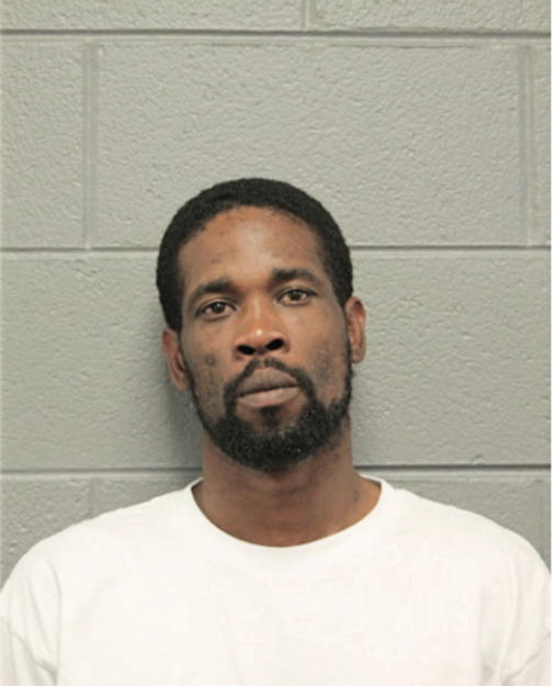 JAMES L COLEMAN, Cook County, Illinois