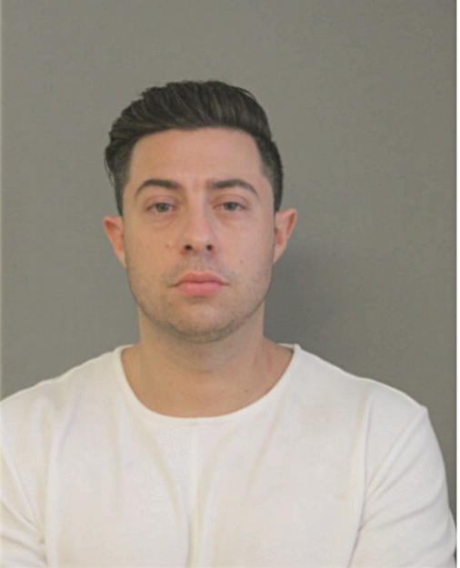 JAMES F DIMATTEO, Cook County, Illinois