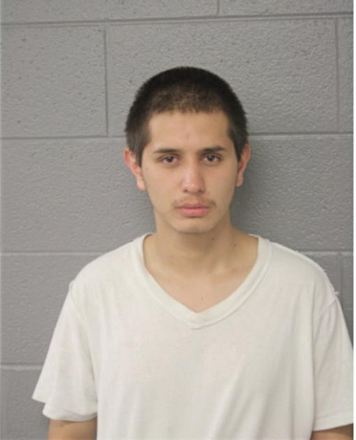 ELVIN ESPARZA, Cook County, Illinois
