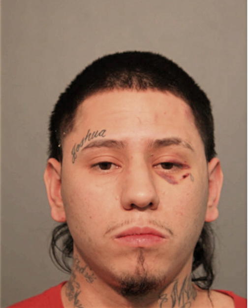 ALFONSO FIERRO, Cook County, Illinois
