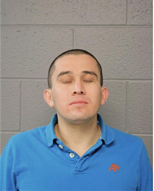 ALFONSO GARCIA-HERREJON, Cook County, Illinois