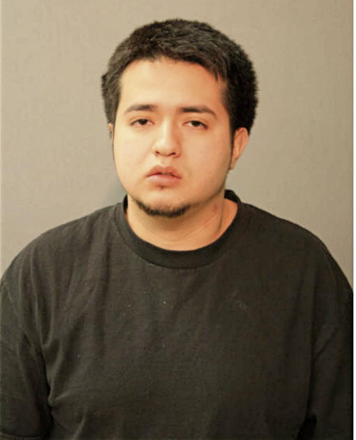 LUIS F GARCIA, Cook County, Illinois