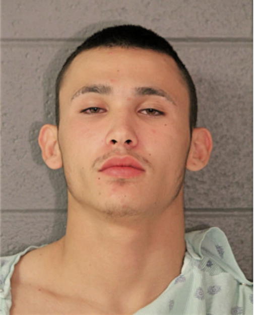 CHRISTIAN A GONZALEZ, Cook County, Illinois