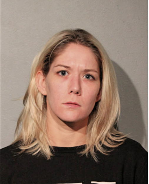 HILLARY M HOFSTRA, Cook County, Illinois