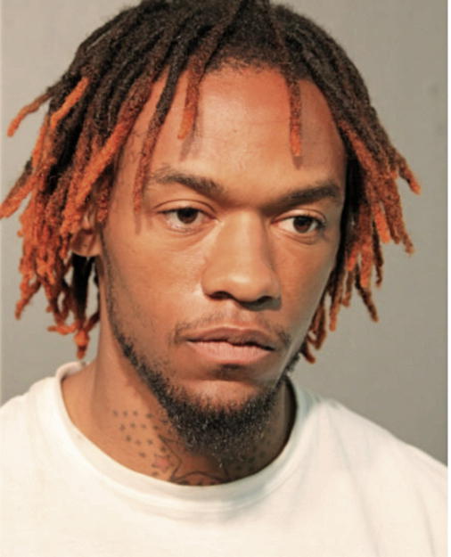 COREY LANDER, Cook County, Illinois