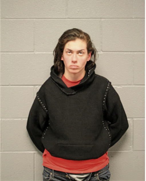 NICOLE LEVENCHUCK, Cook County, Illinois