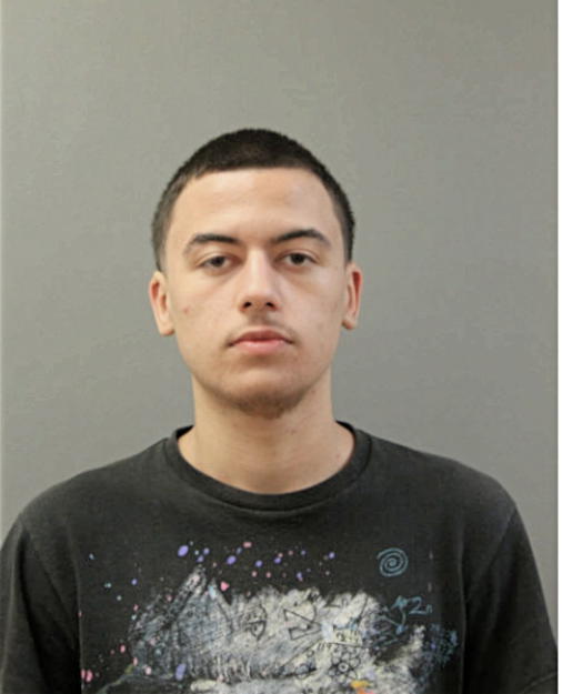 ERIC X MARTINEZ, Cook County, Illinois
