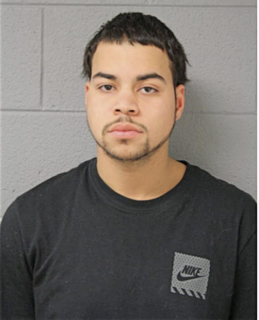 LORAY REID-PATTON, Cook County, Illinois